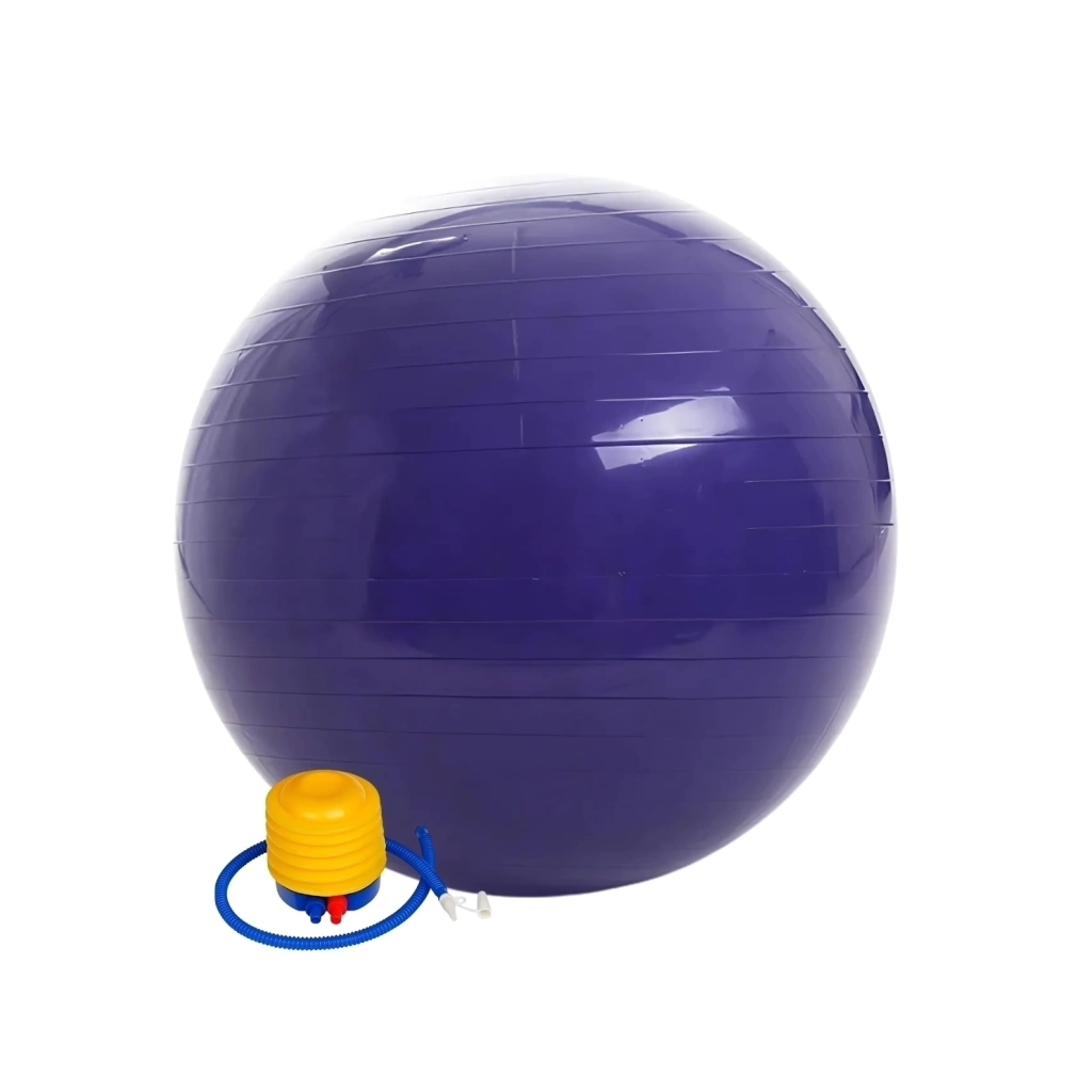 pelota-65cm-2-aa9079b791fc4962fc17322859097329-1024-1024