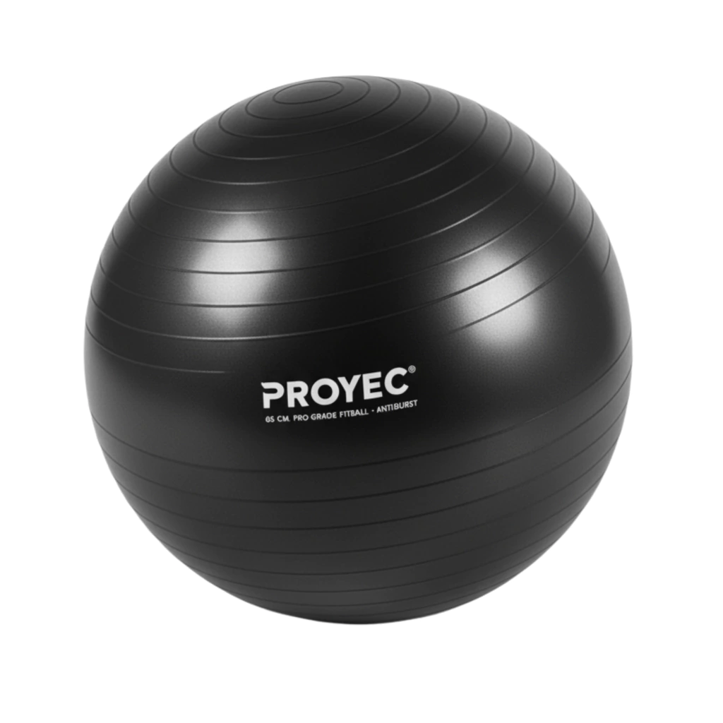 pelota-esferodinamia-65cm-8-50acd3320e1ecdce7c17634846840142-1024-1024