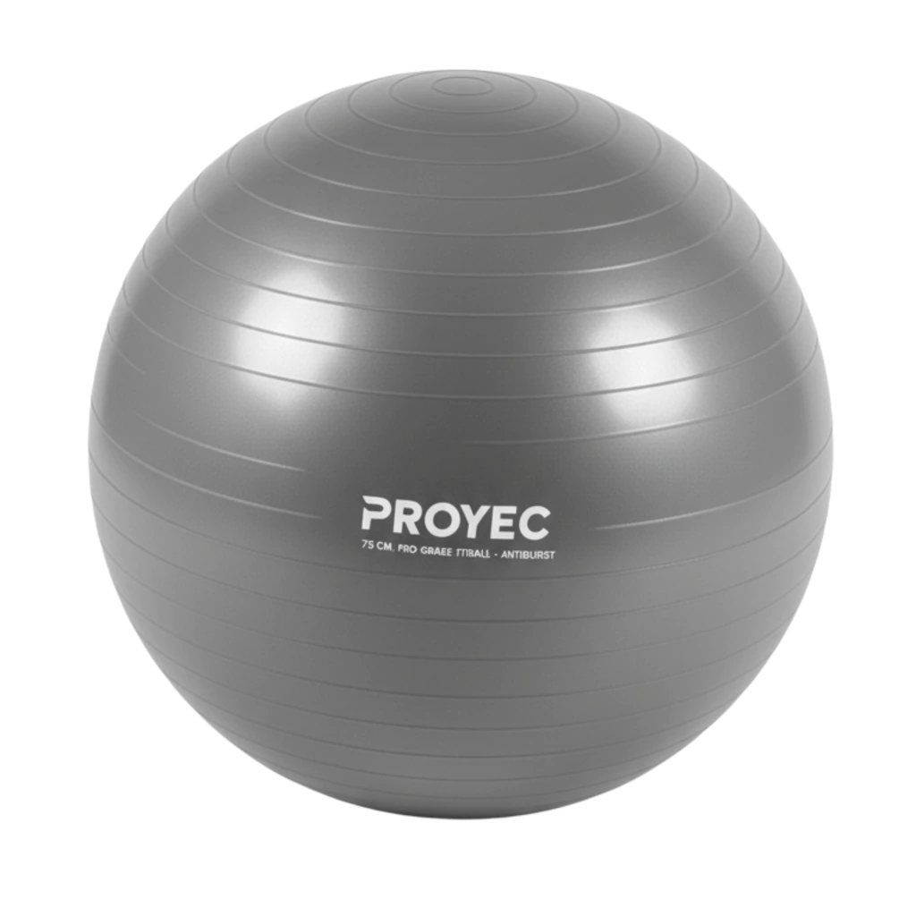 pelota-esferodinamia-75cm-4-00af5d01e31343603117634885290589-1024-1024