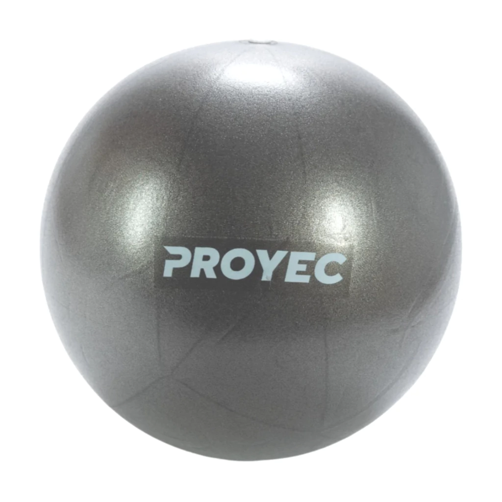 pelota-esferodinamia-suiza-25-cm-proyec-844-2-e43610c80816d068b017467234598350-1024-1024
