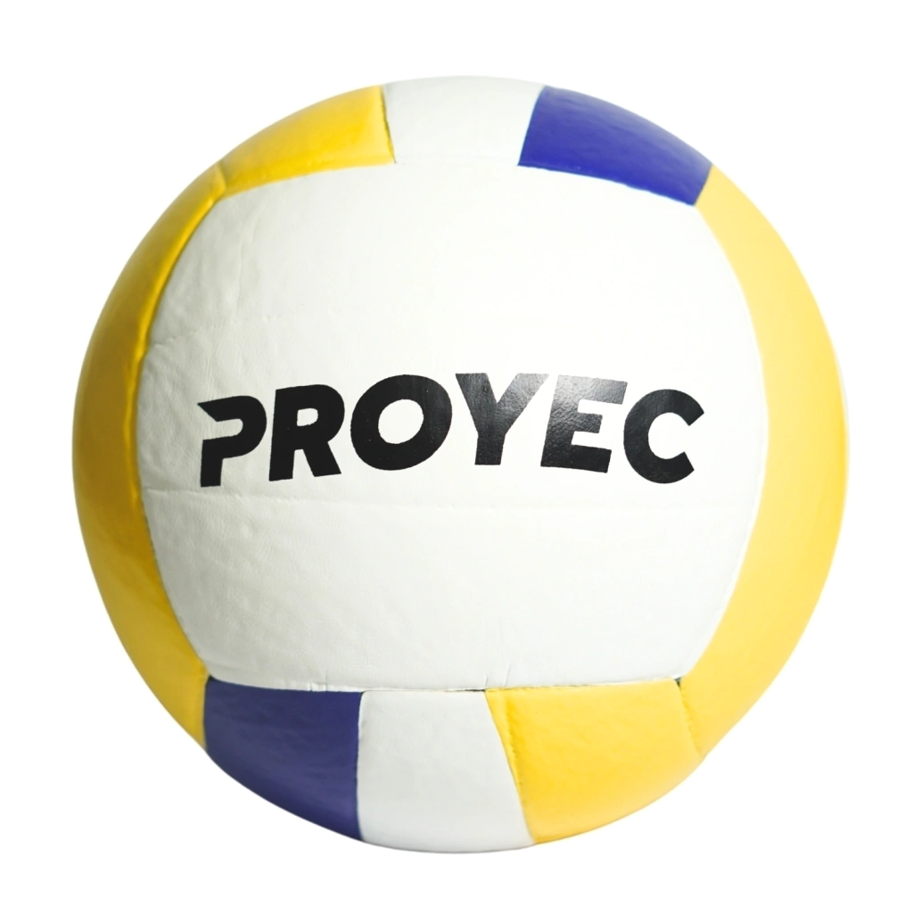 pelota-voley-1-2bc6572daf4215f25917339251143370-1024-1024